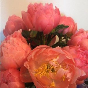 Meet your Posher, Kay